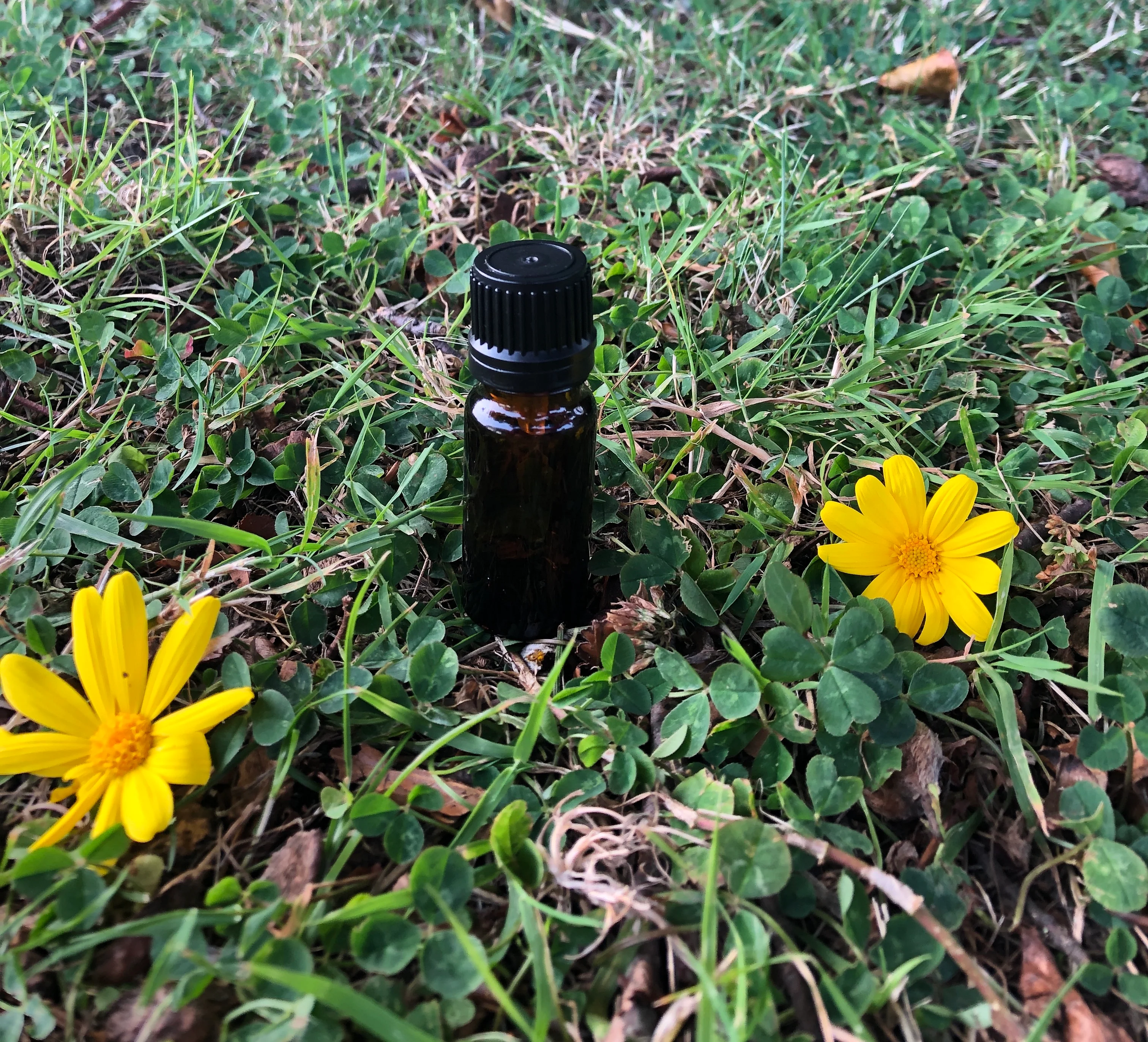 10ml Amber Glass Bottle (GL18 Narrow neck) - Image 11