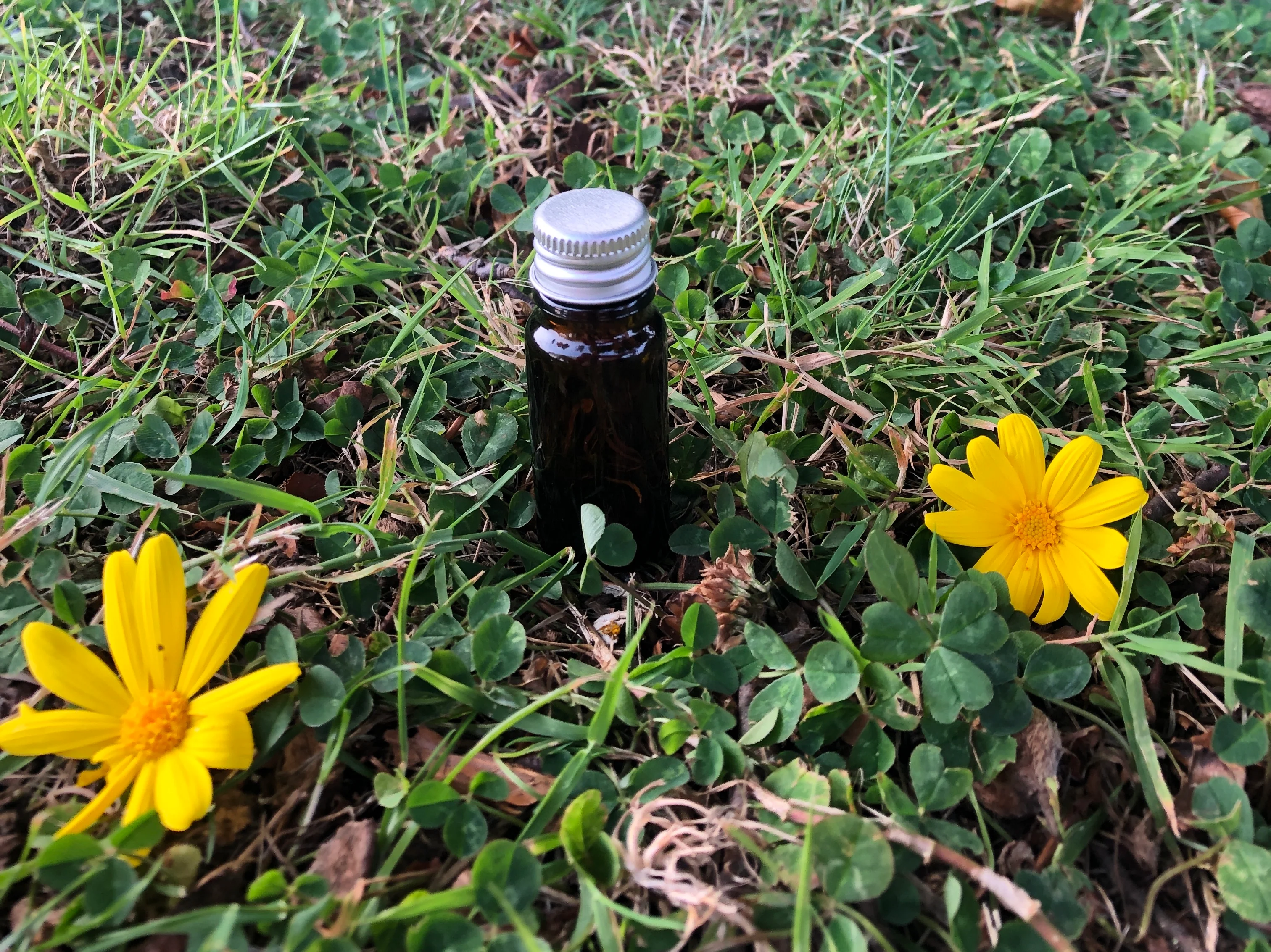 10ml Amber Glass Bottle (GL18 Narrow neck) - Image 12