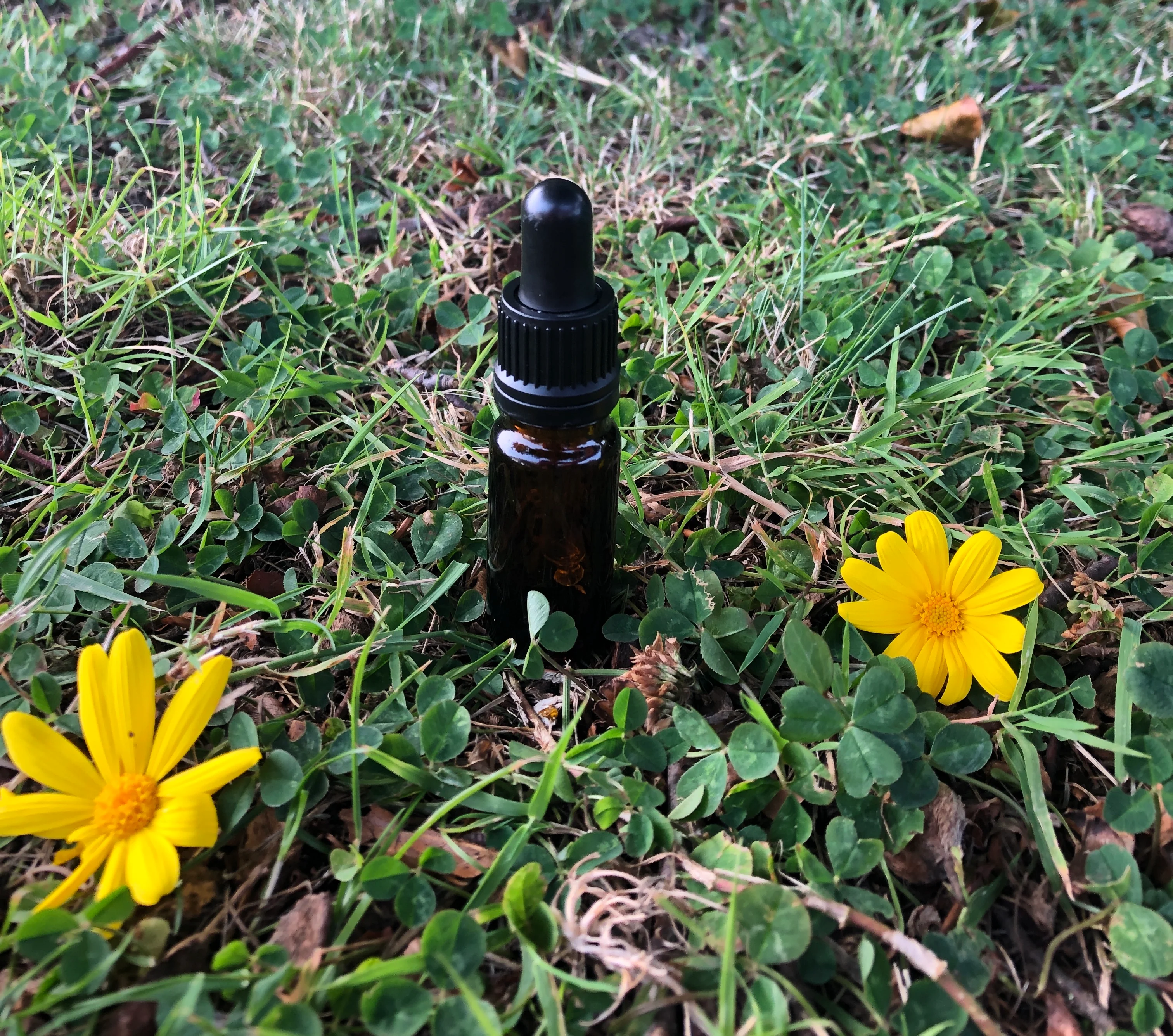10ml Amber Glass Bottle (GL18 Narrow neck) - Image 14