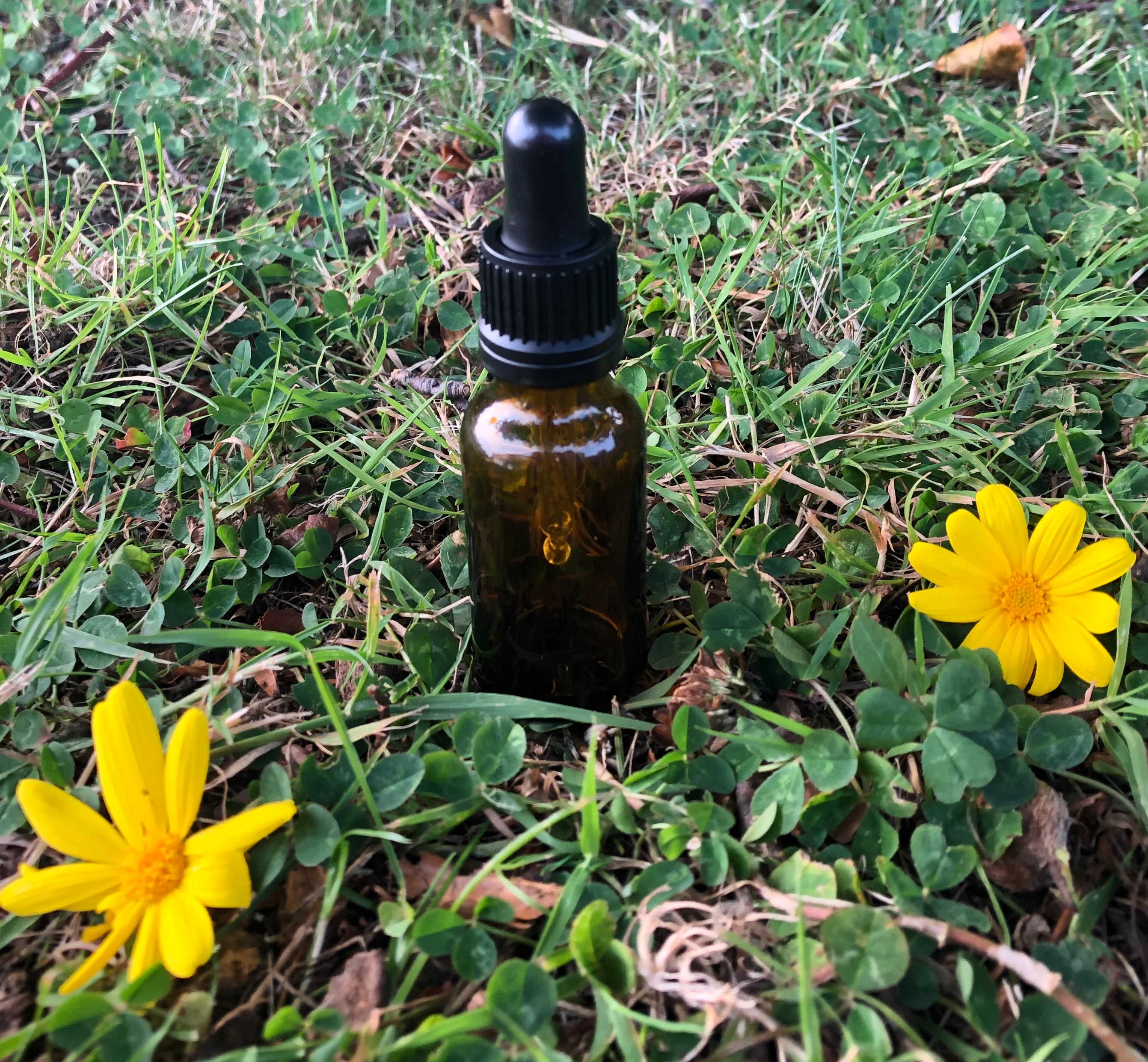 20ml Amber Glass Bottle (GL18 Narrow neck) - Image 3