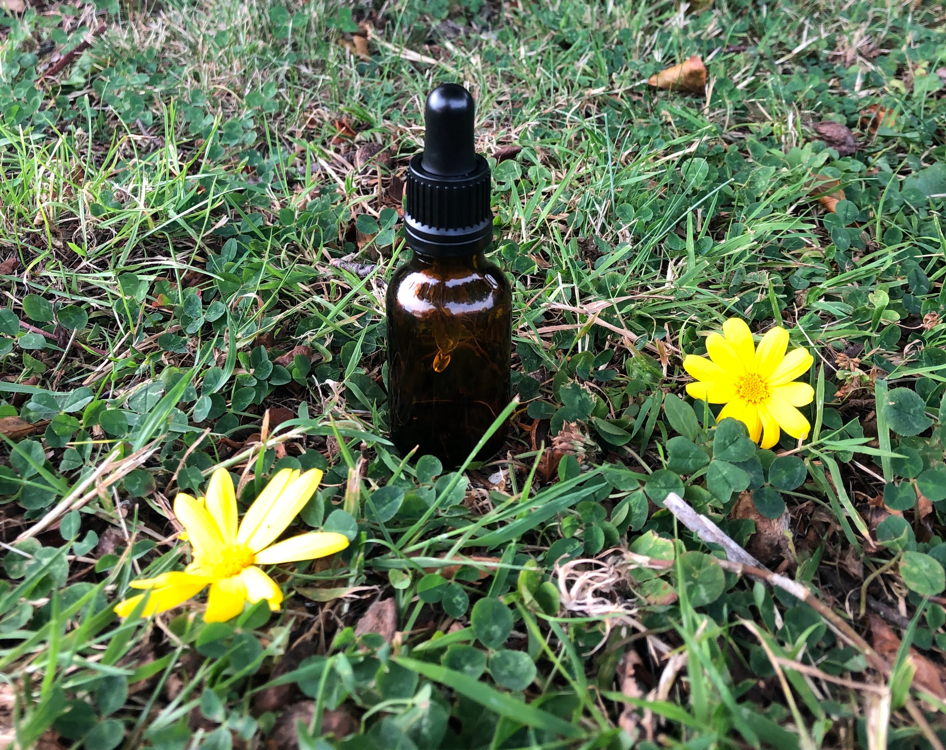 25ml Amber Glass Bottle "SQUAT" STYLE (GL18 Narrow neck) - Image 3
