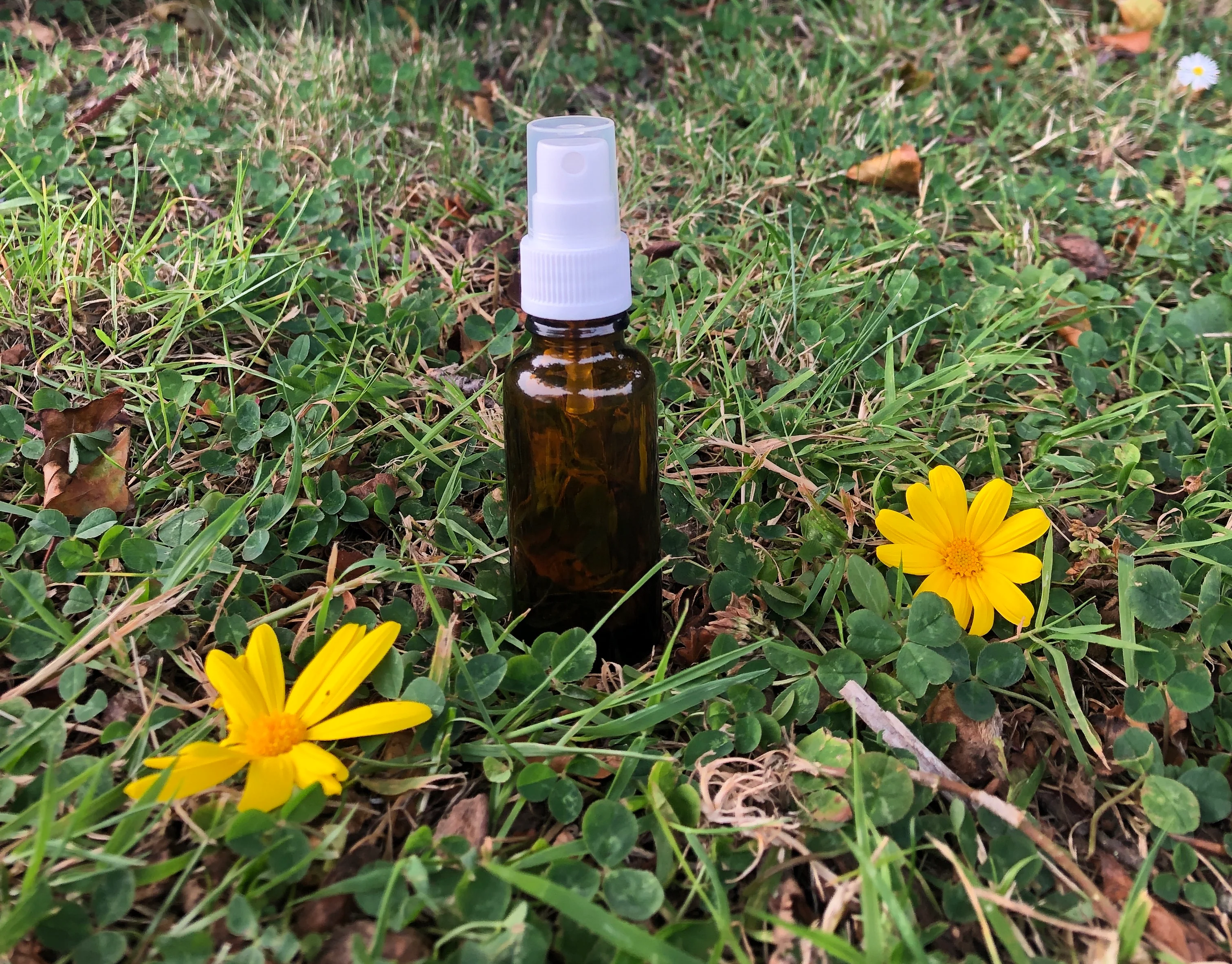 25ml Amber Glass Bottle "SQUAT" STYLE (GL18 Narrow neck) - Image 4