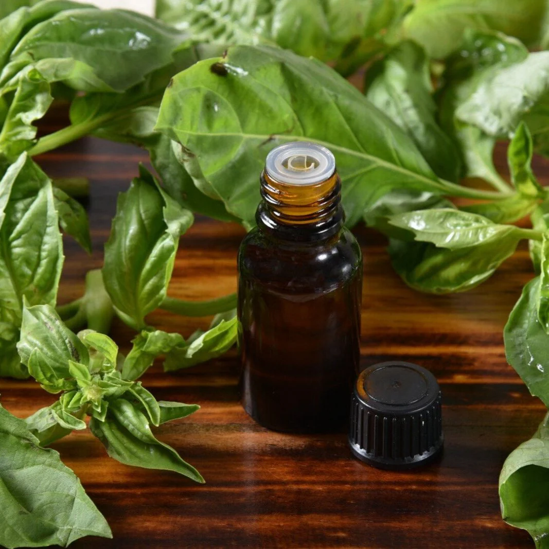 Basil Oil (Methyl Chavicol type)