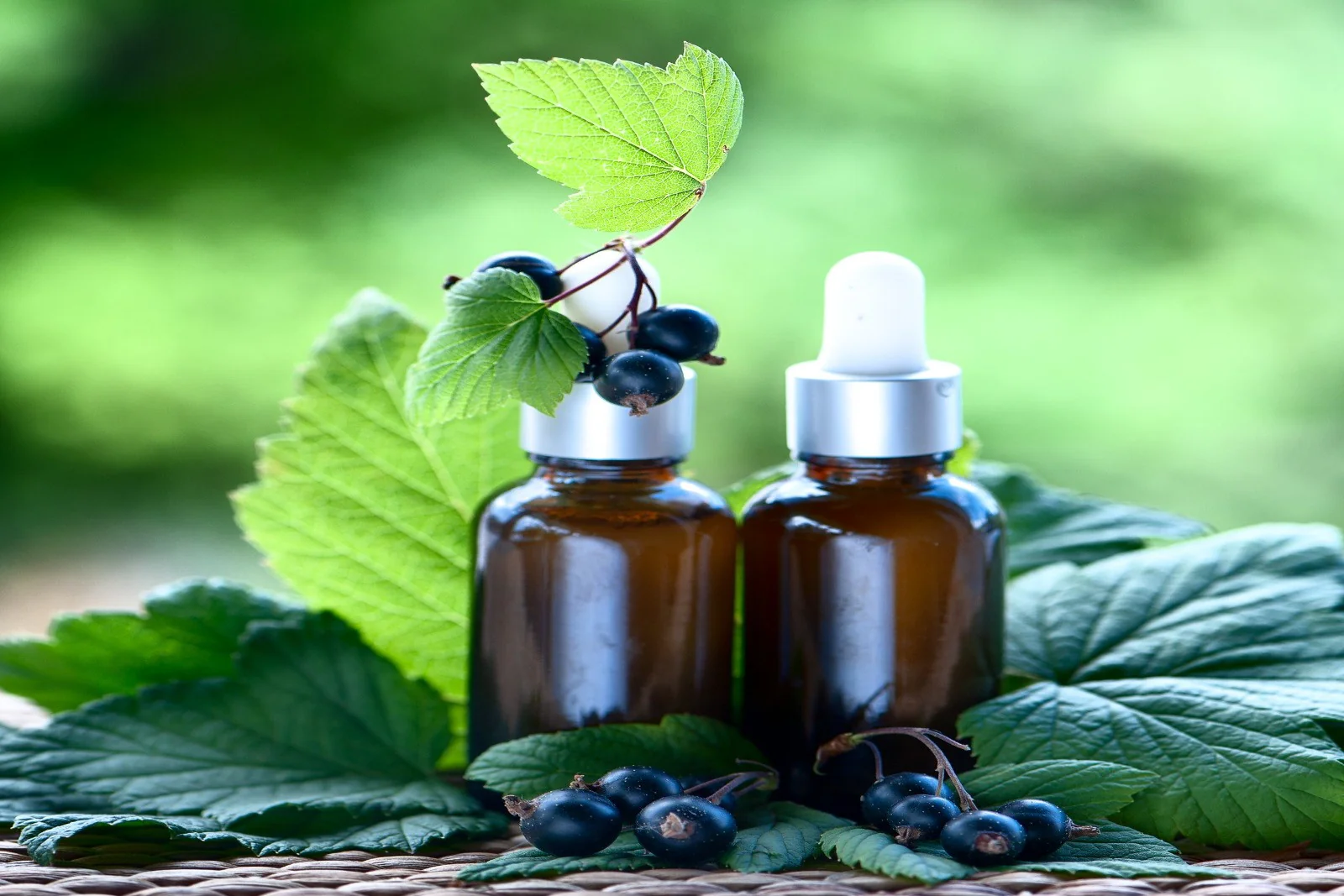 Blackcurrant Seed Oil Refined
