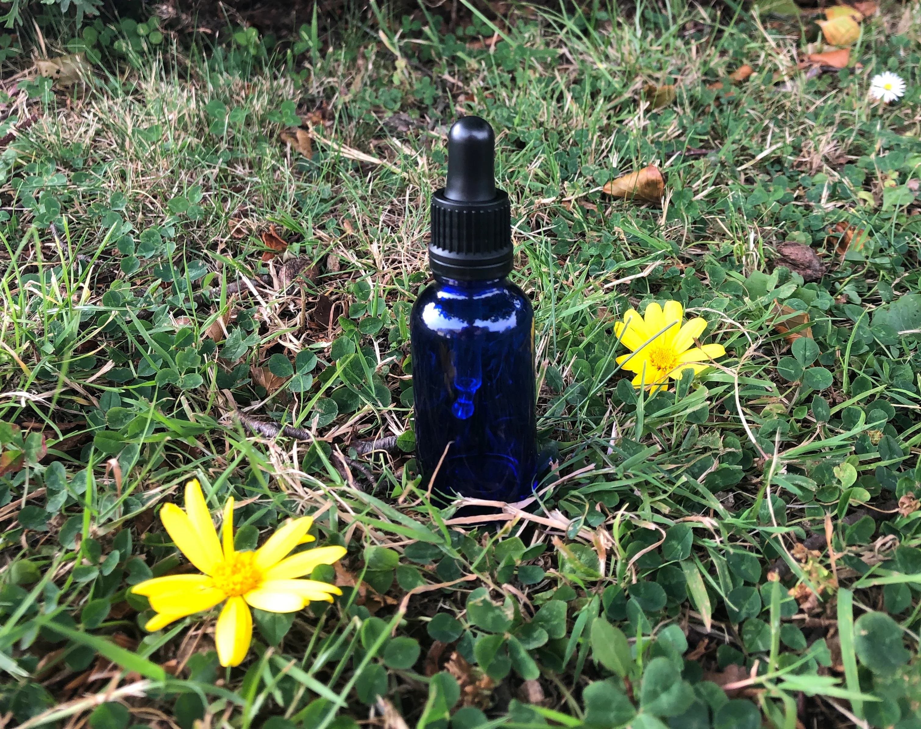 10ml Blue Glass Bottle - Image 6