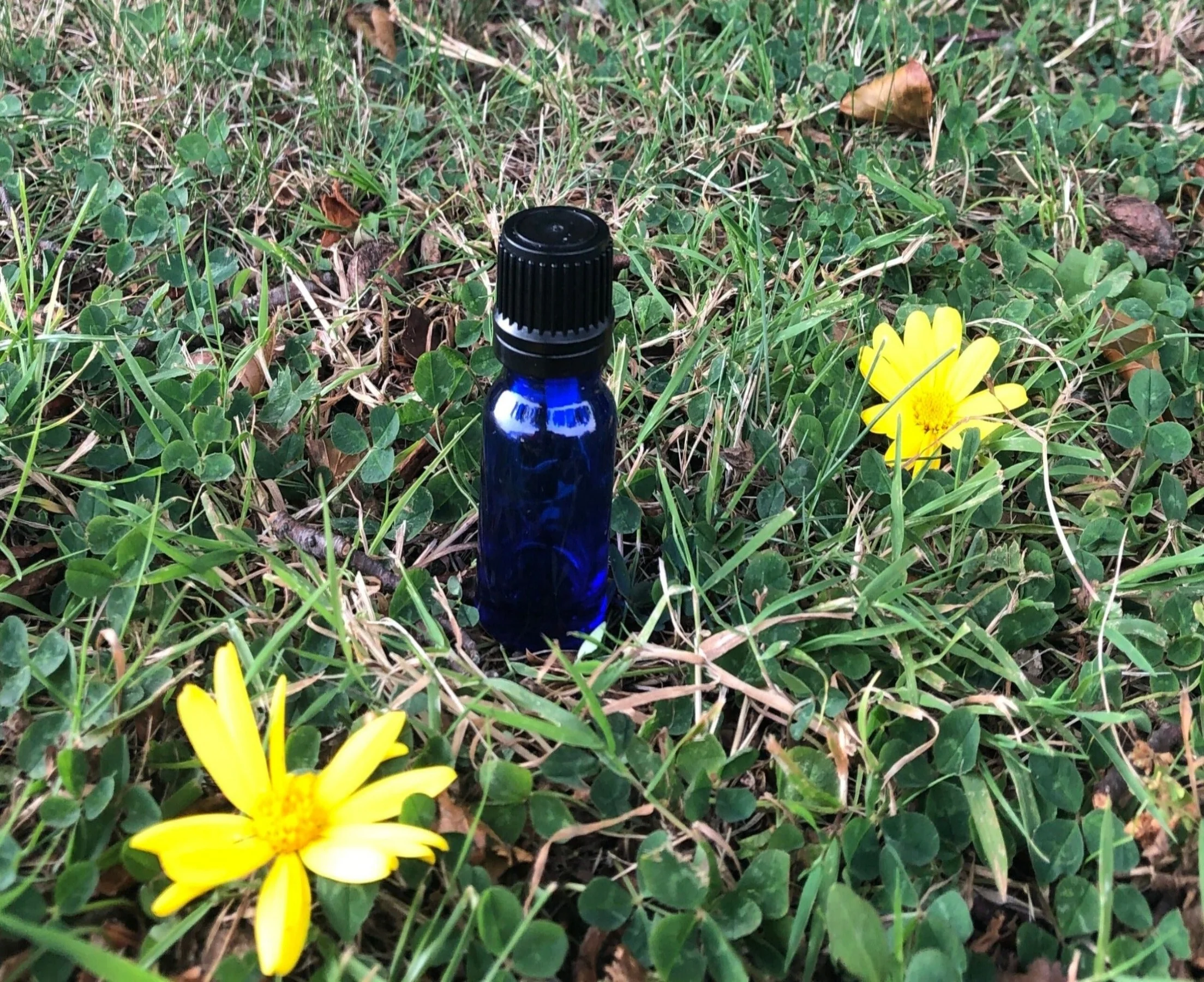 15ml Blue Glass Bottle