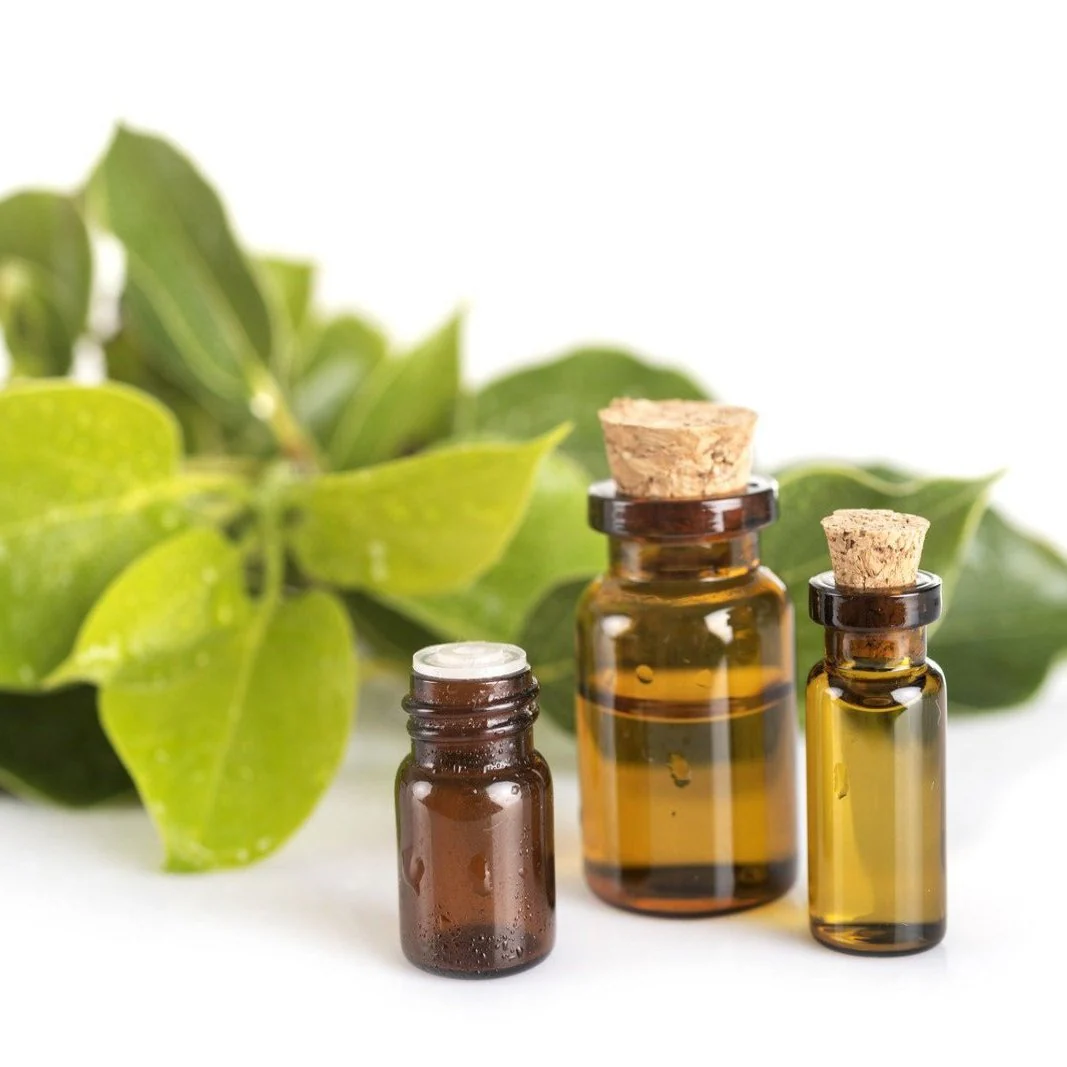 Camphor (White) Oil