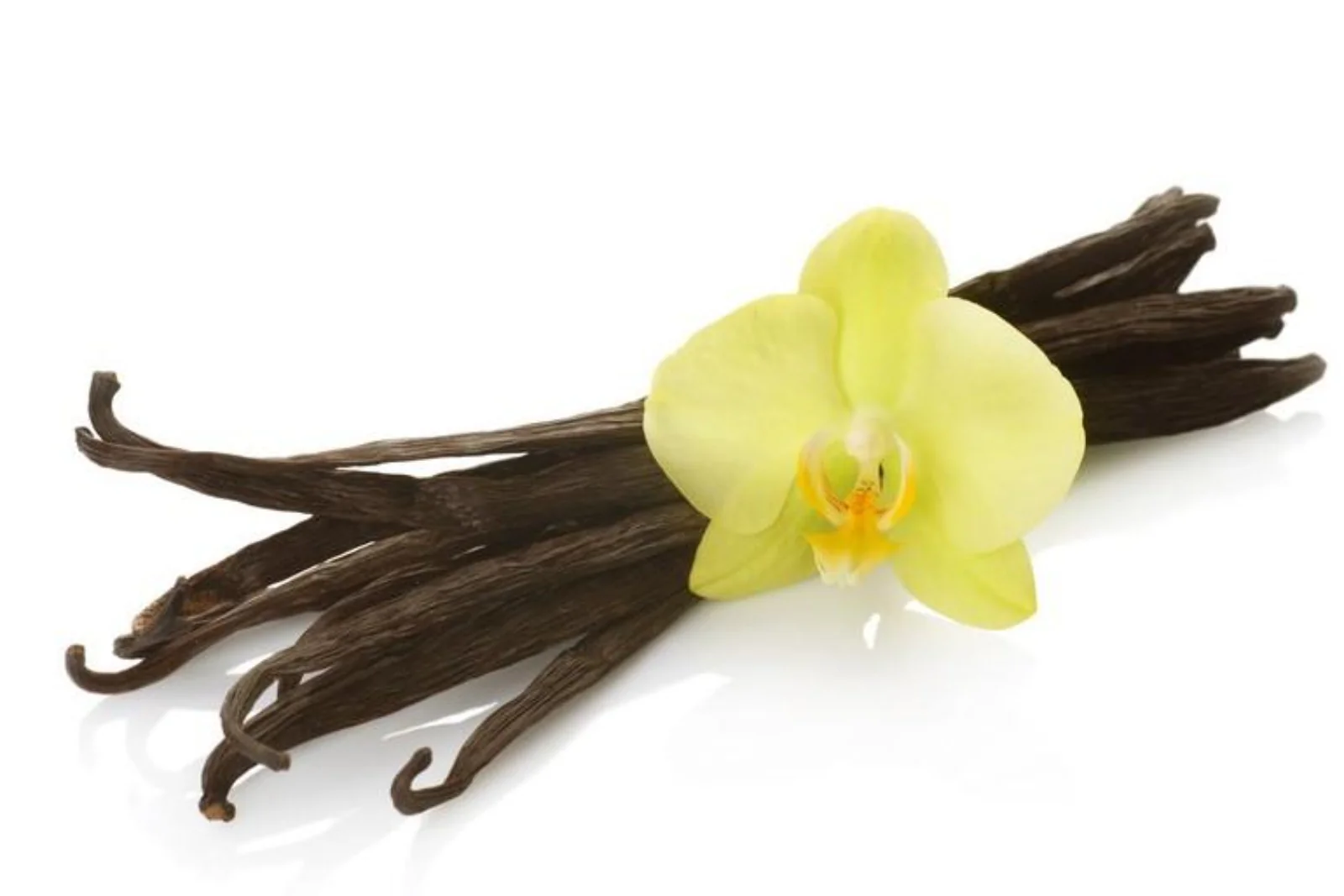 Candle, Diffuser & Soap Fragrance - French Vanilla