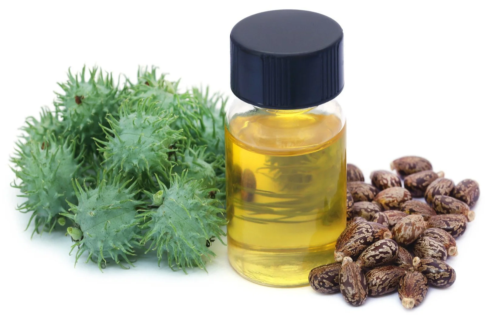 Castor Oil (Refined, No.1)