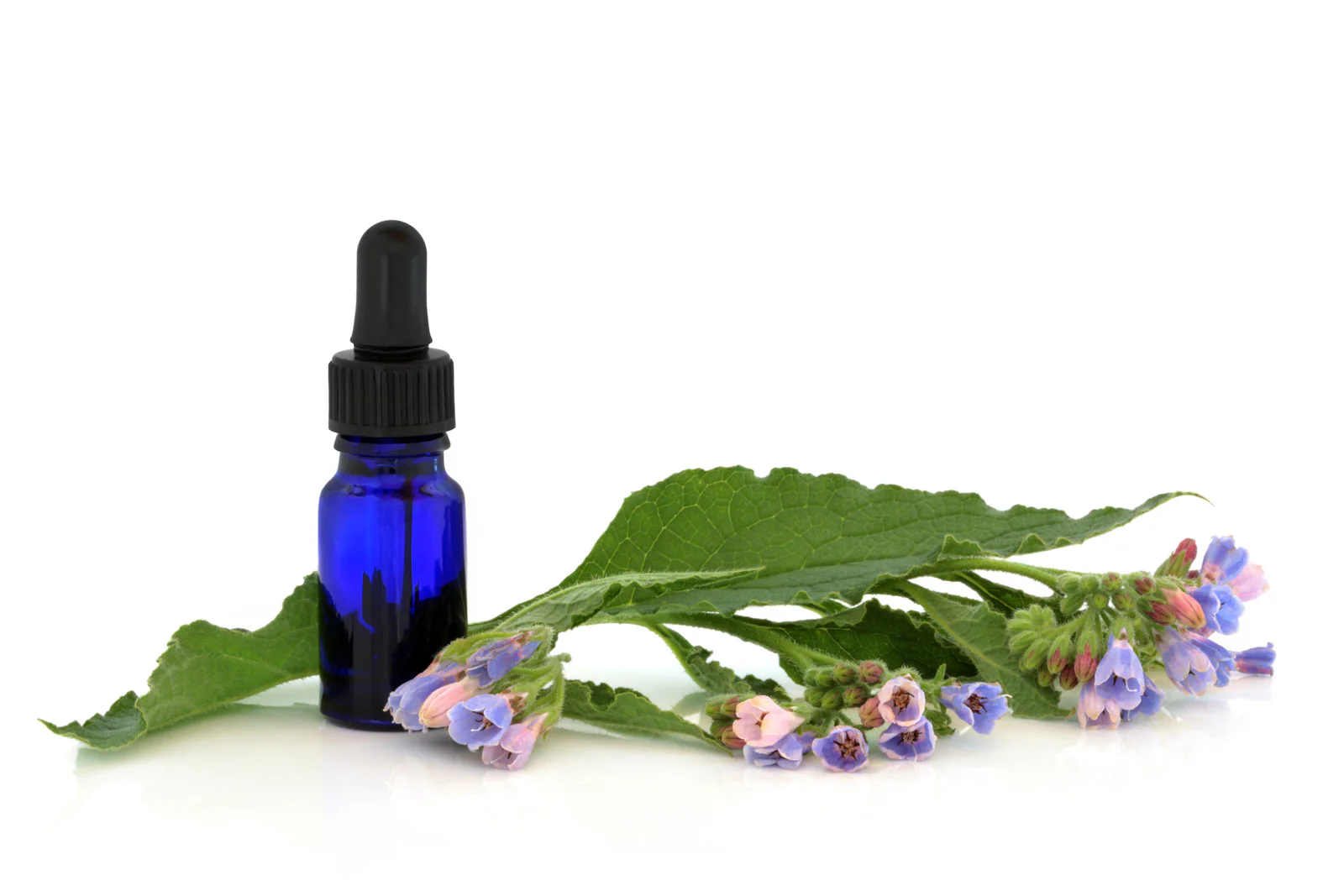 Comfrey, Infused in Sunflower Oil