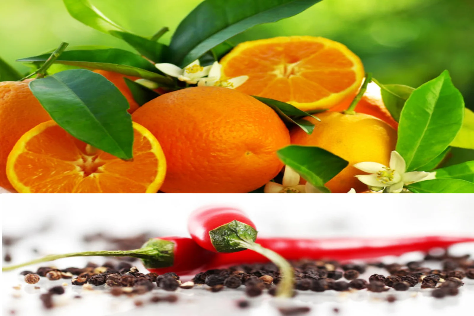 Candle, Diffuser & Soap Fragrance - Sweet Orange & Chilli Pepper
