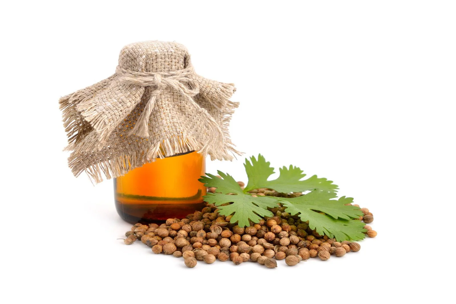 Coriander Seed Oil