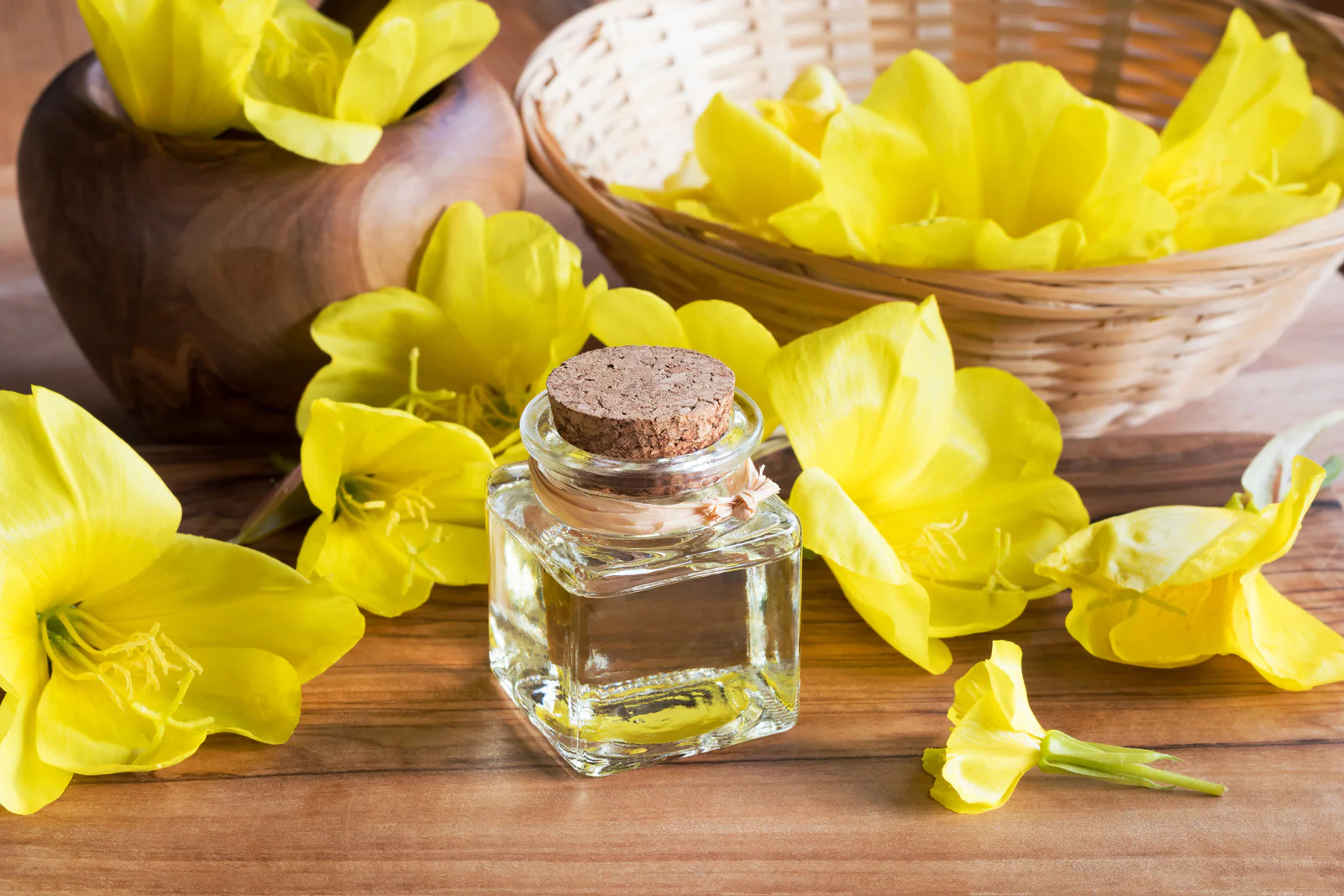Evening Primrose Oil Organic