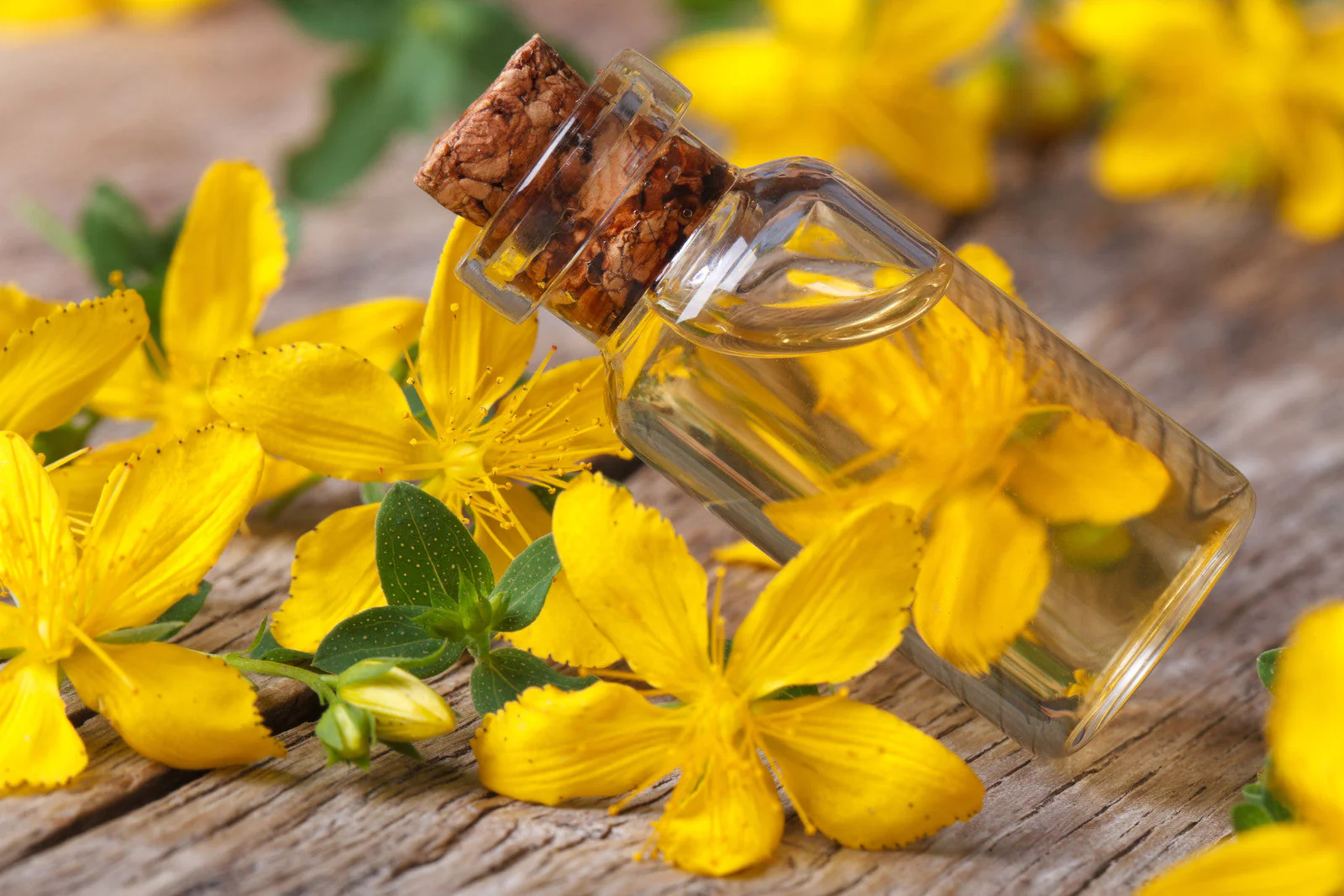 Hypericum Infused in Organic Sunflower oil