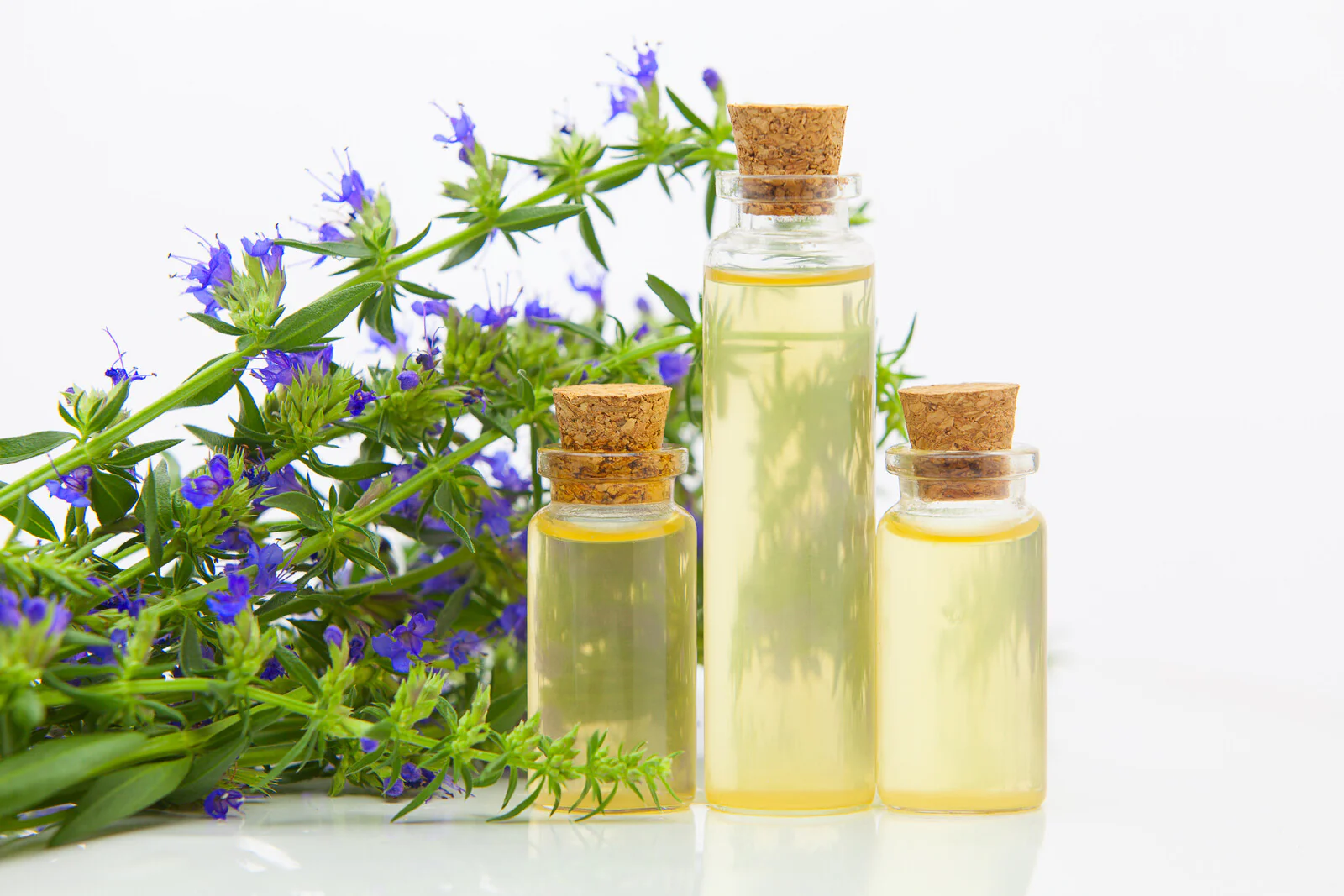 Hyssop Oil
