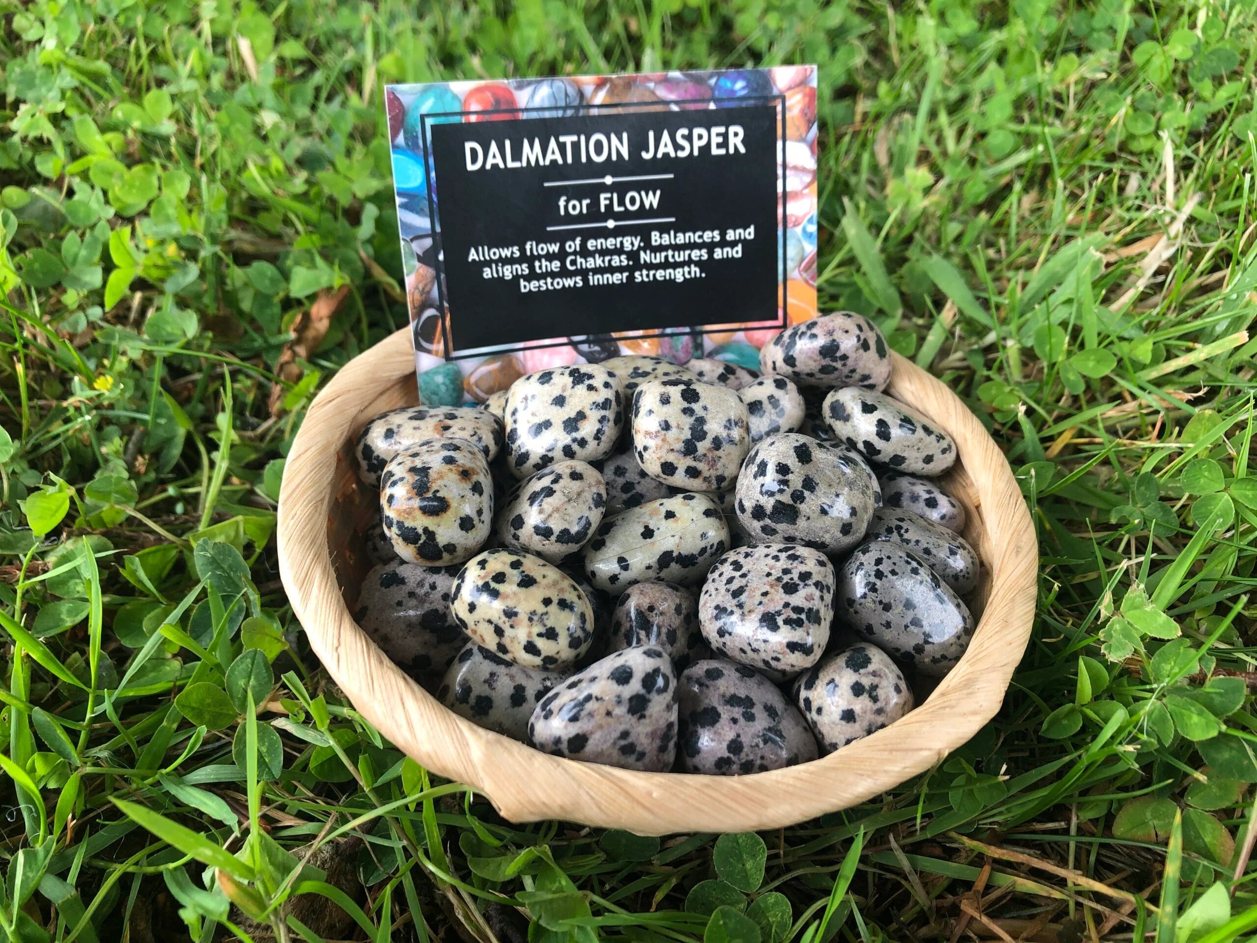 Jasper Dalmation Gemstone