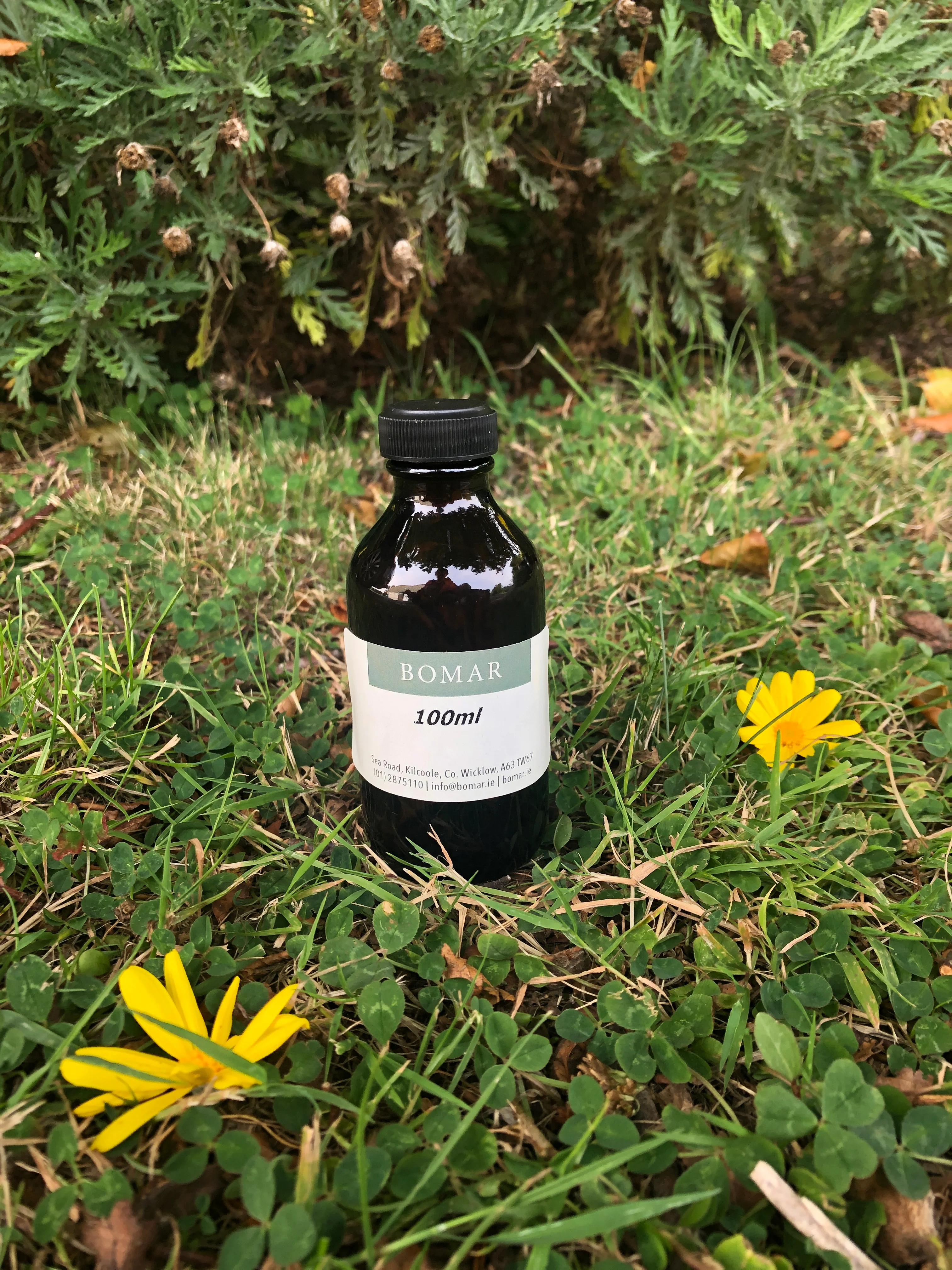 Jojoba Oil REFINED (clear) - Image 2