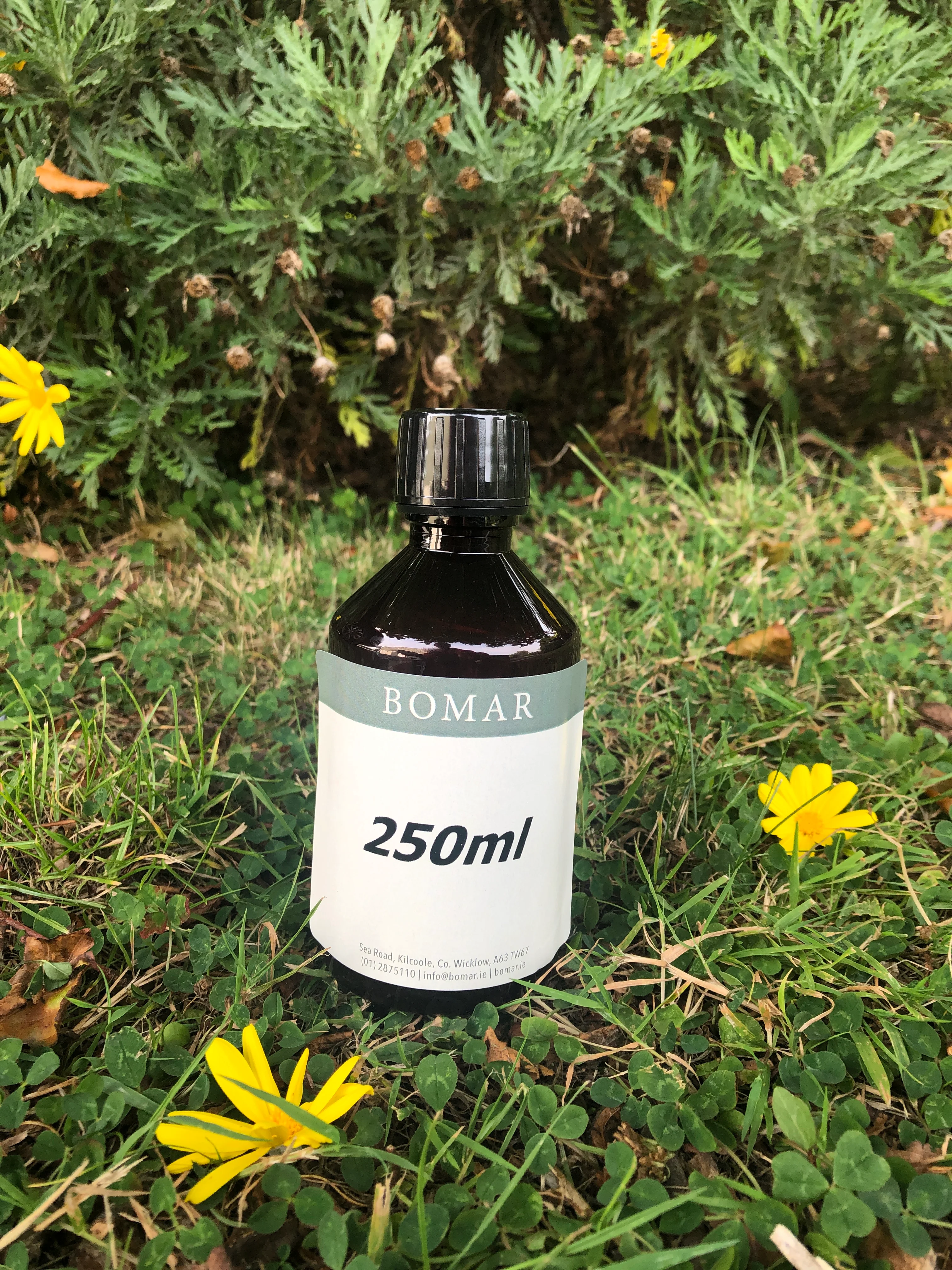 Jojoba Oil REFINED (clear) - Image 3
