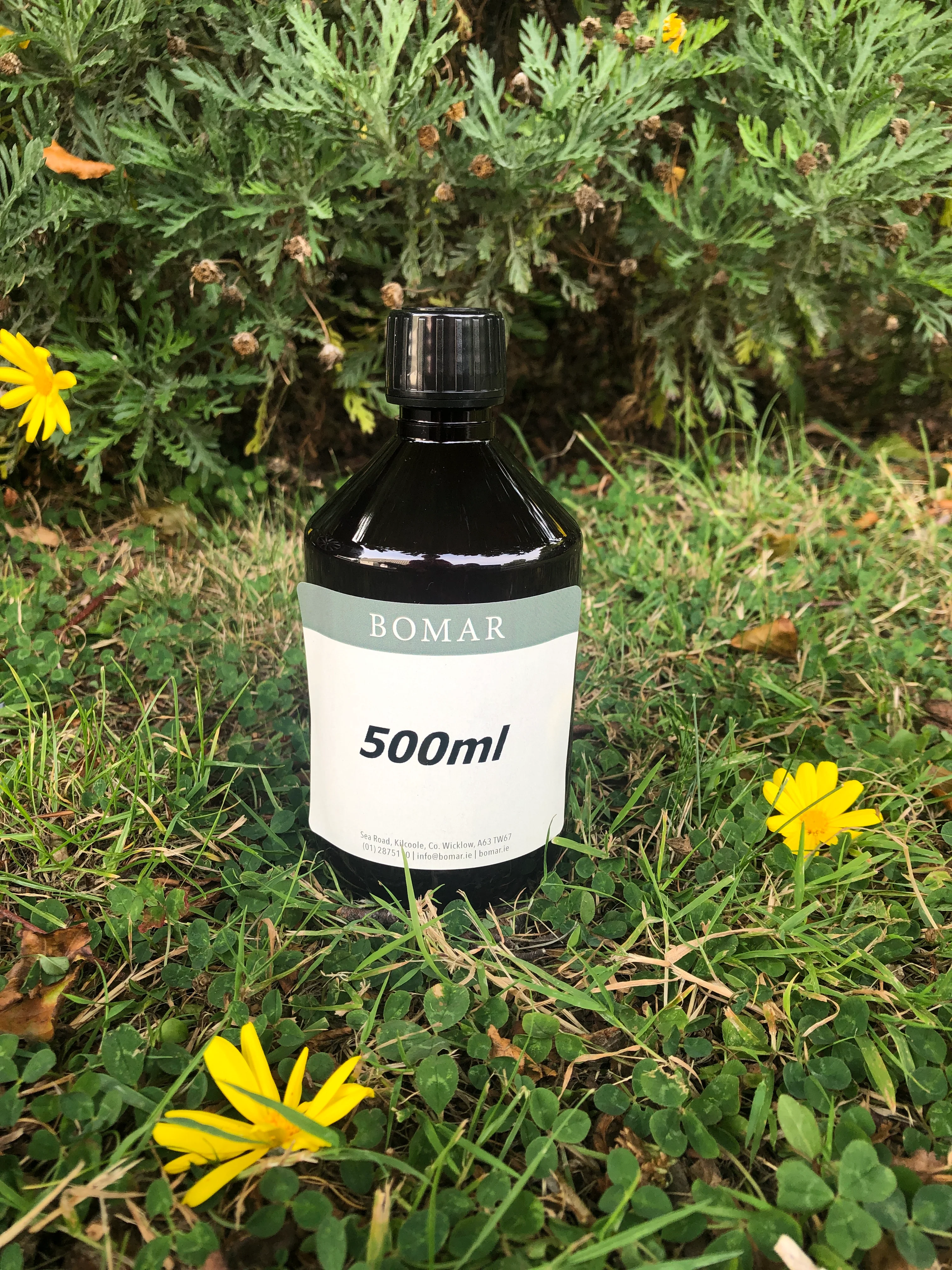 Jojoba Oil REFINED (clear) - Image 4