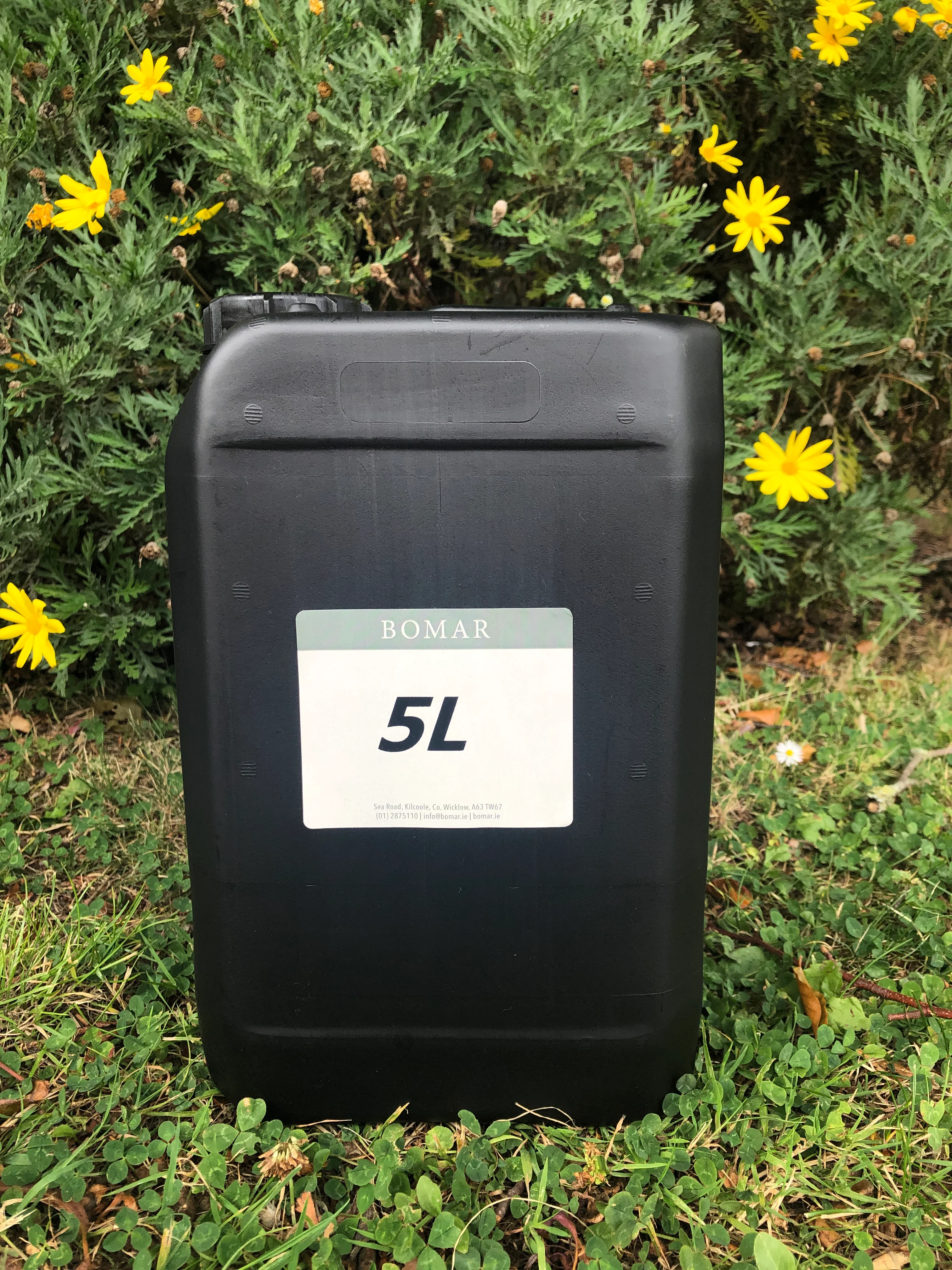 Jojoba Oil REFINED (clear) - Image 6