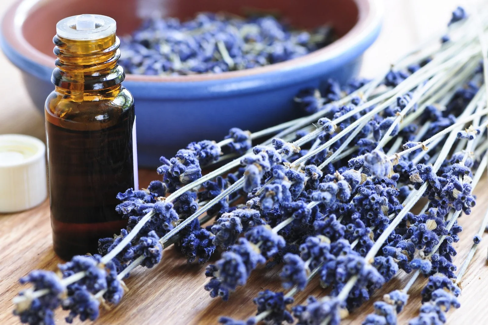Lavender Spike Oil