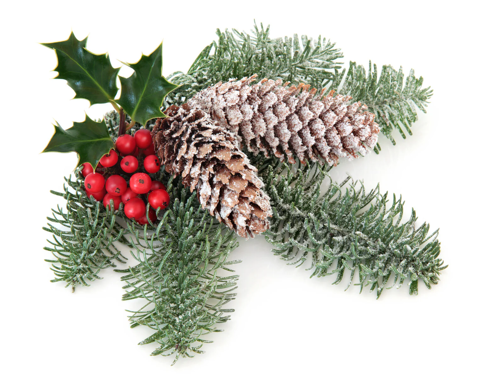 Candle, Diffuser & Soap Fragrance - Snowkissed Fir & Mistletoe