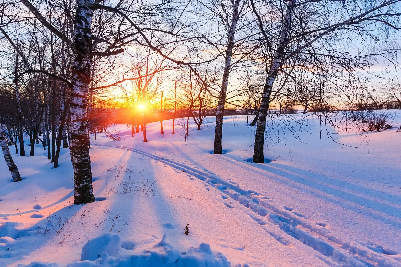 Candle, Diffuser & Soap Fragrance - Winter Dusk