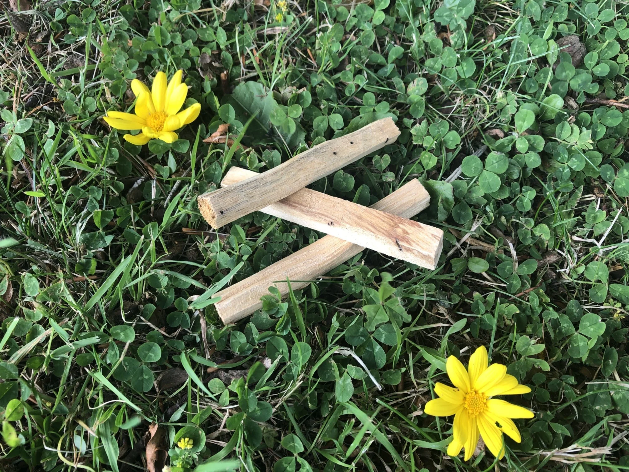 Palo Santo STICKS