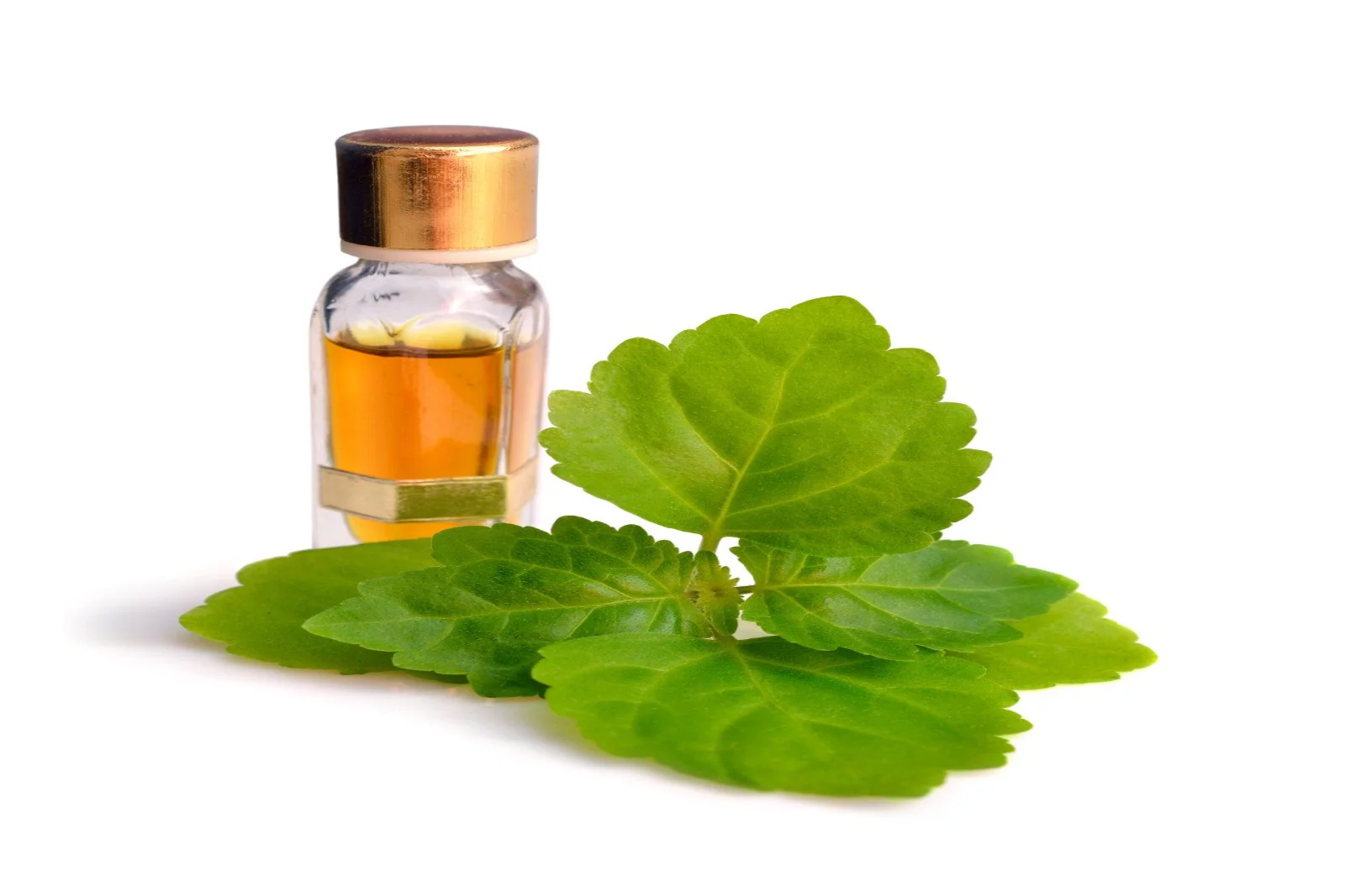 Patchouli Oil (Organic)