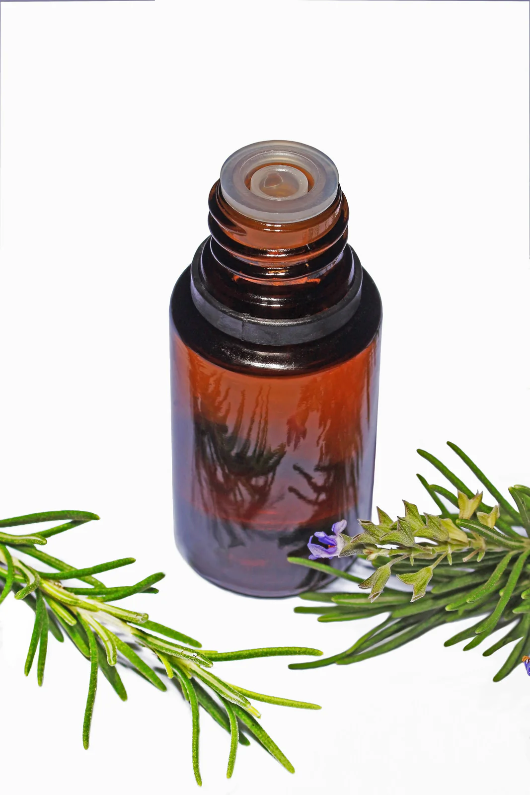 Rosemary Oil (Organic)