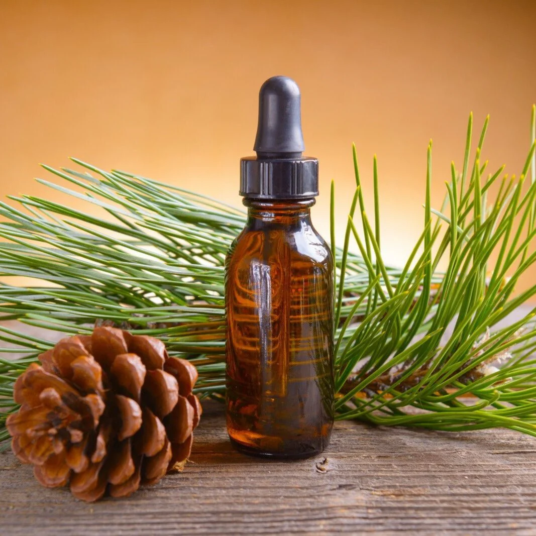 Spruce Oil (Picea Abies)