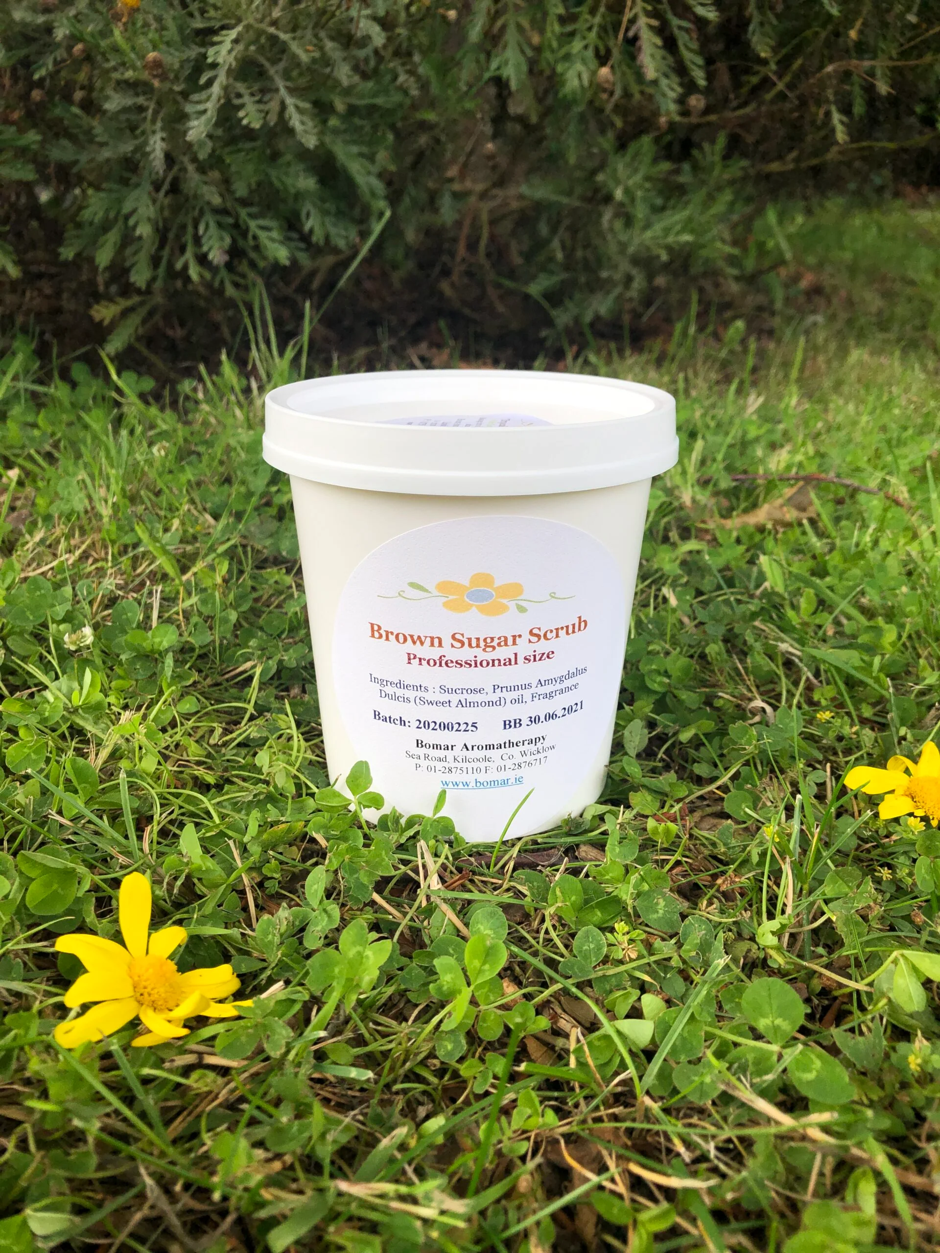 Tropical Coconut Melt - Image 2