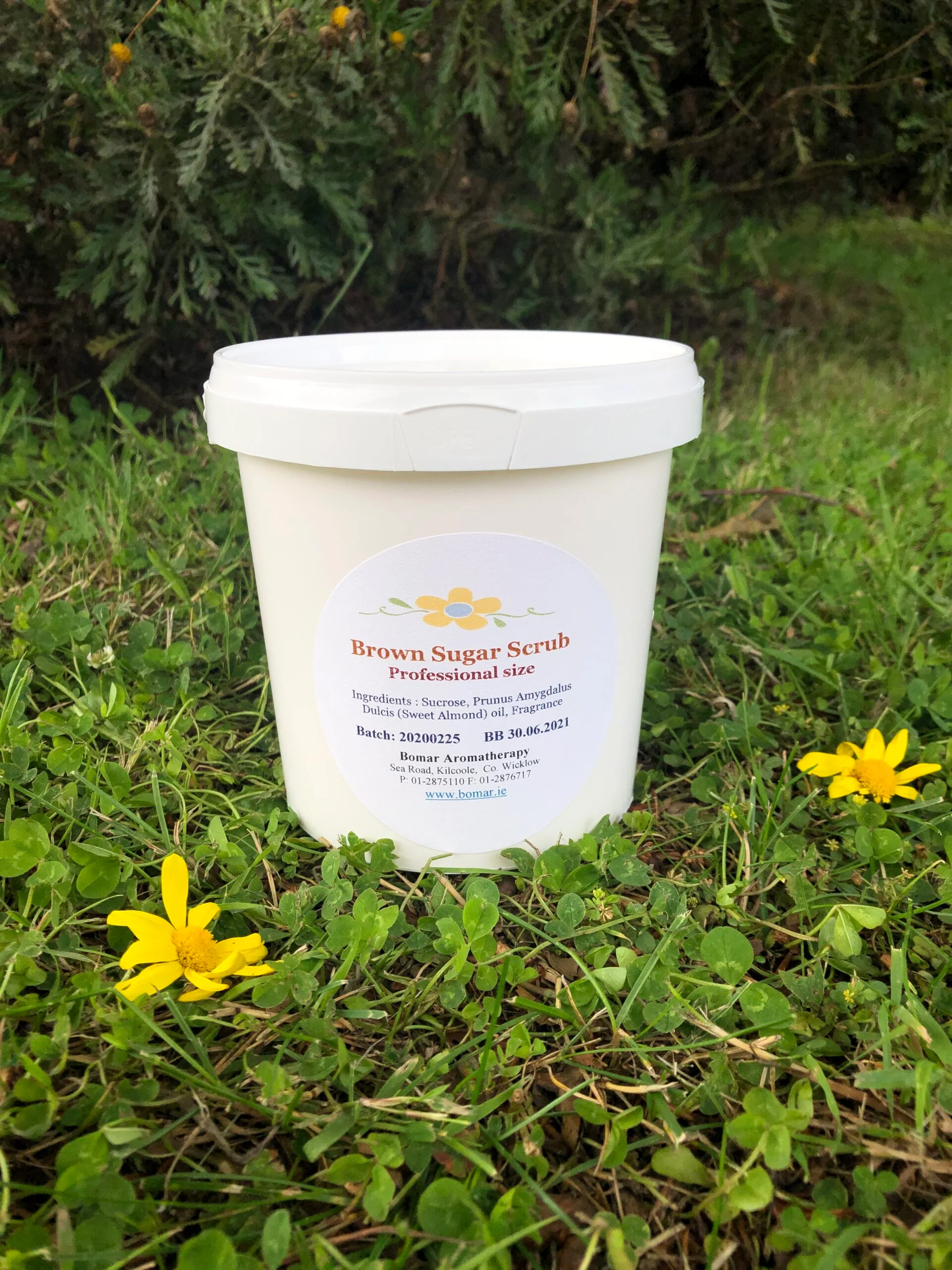 Tropical Coconut Melt - Image 3