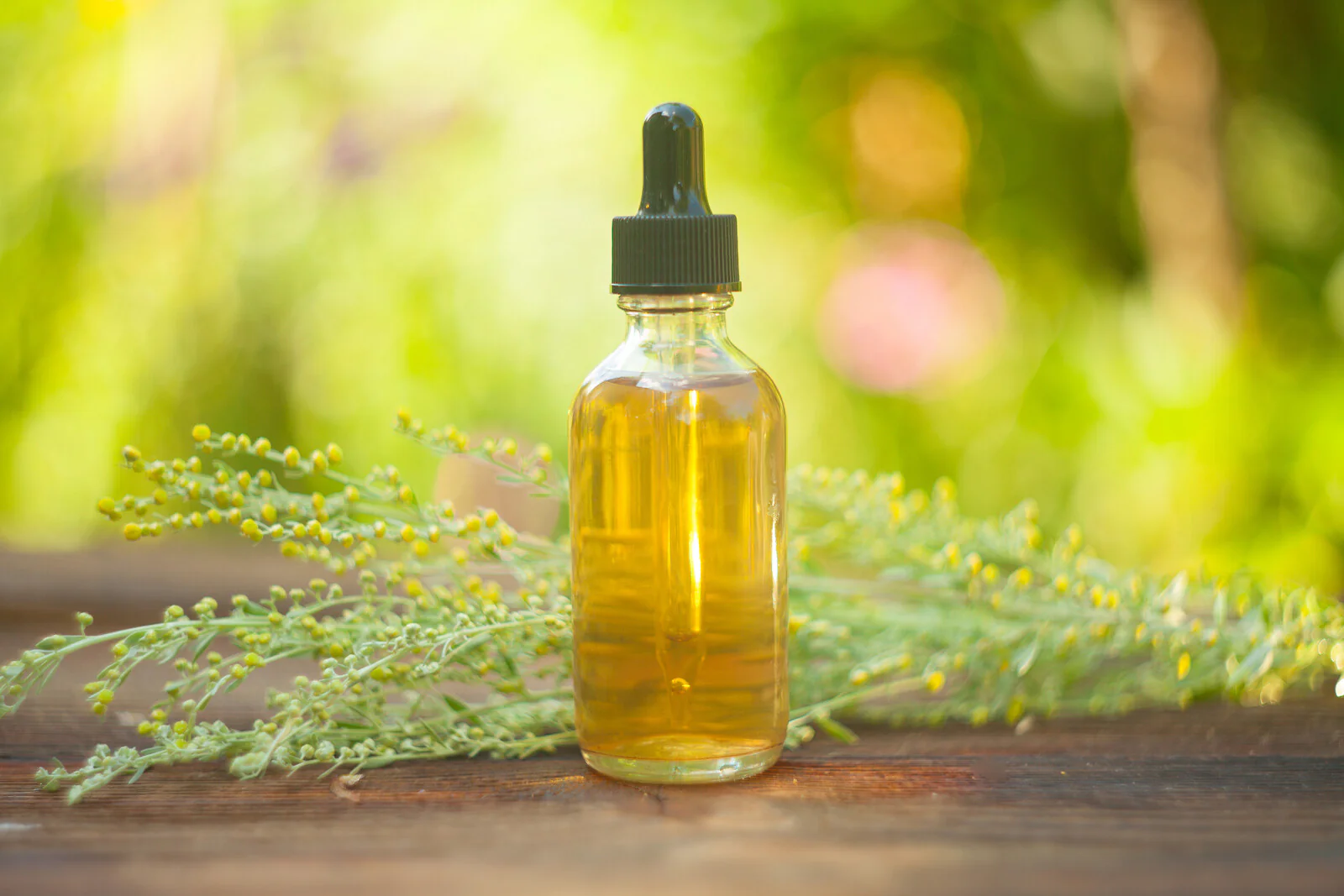 Wormwood Oil